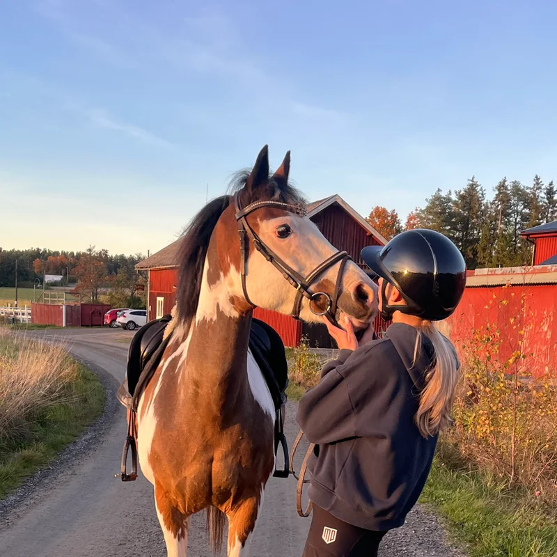 julia.fredriksson35