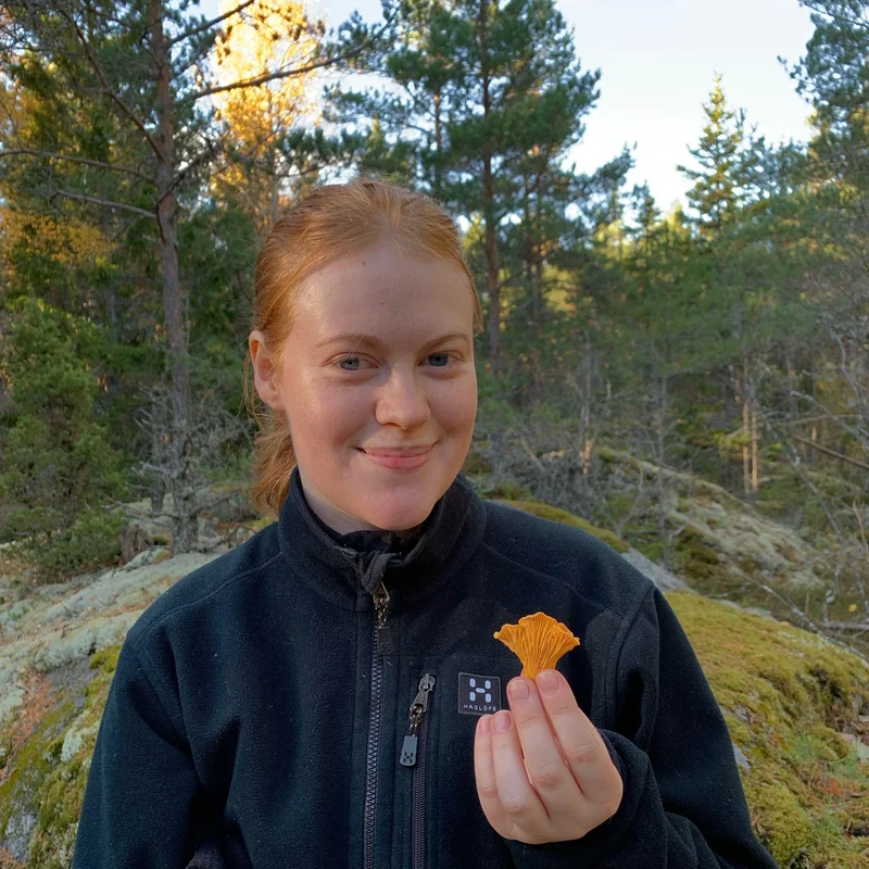 Ebba S